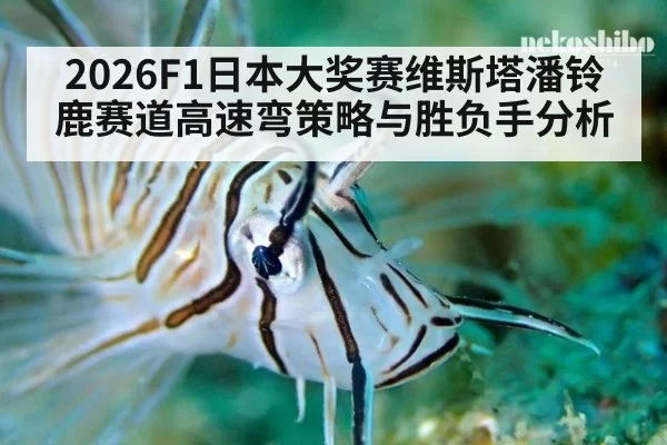 2026F1日本大奖赛维斯塔潘铃鹿赛道高速弯策略与胜负手分析